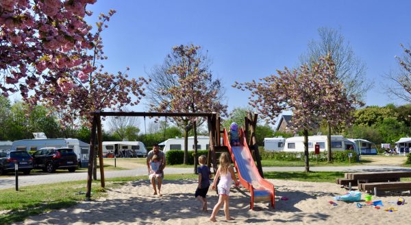 Ferien- und Campingpark Wisseler See — photo 8